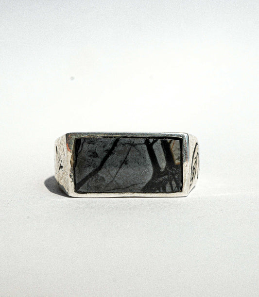 Black Noir Jasper Snake Signet