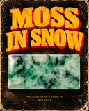 MOSS IN SNOW