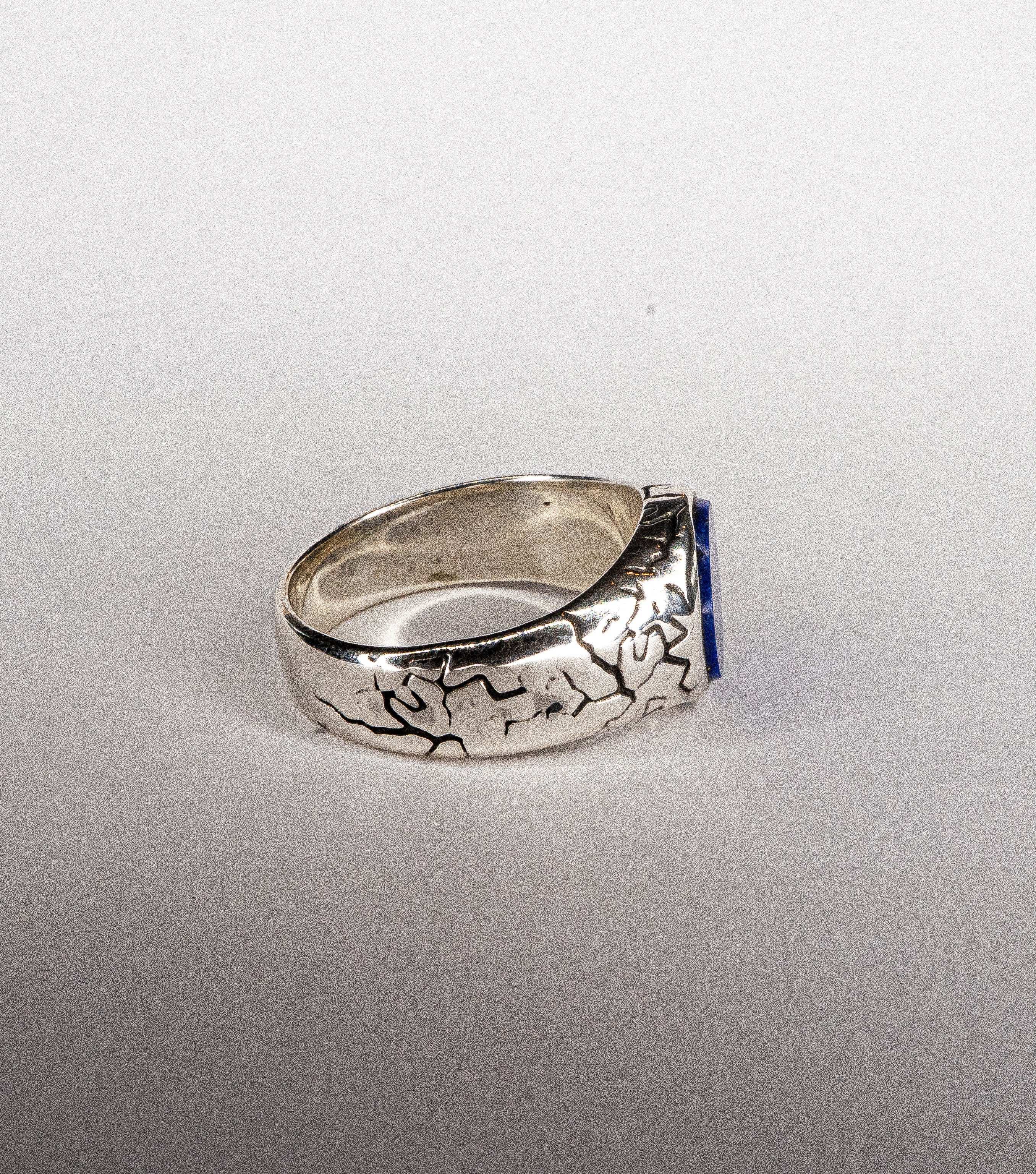 Wild Times -Lapis Lazuli