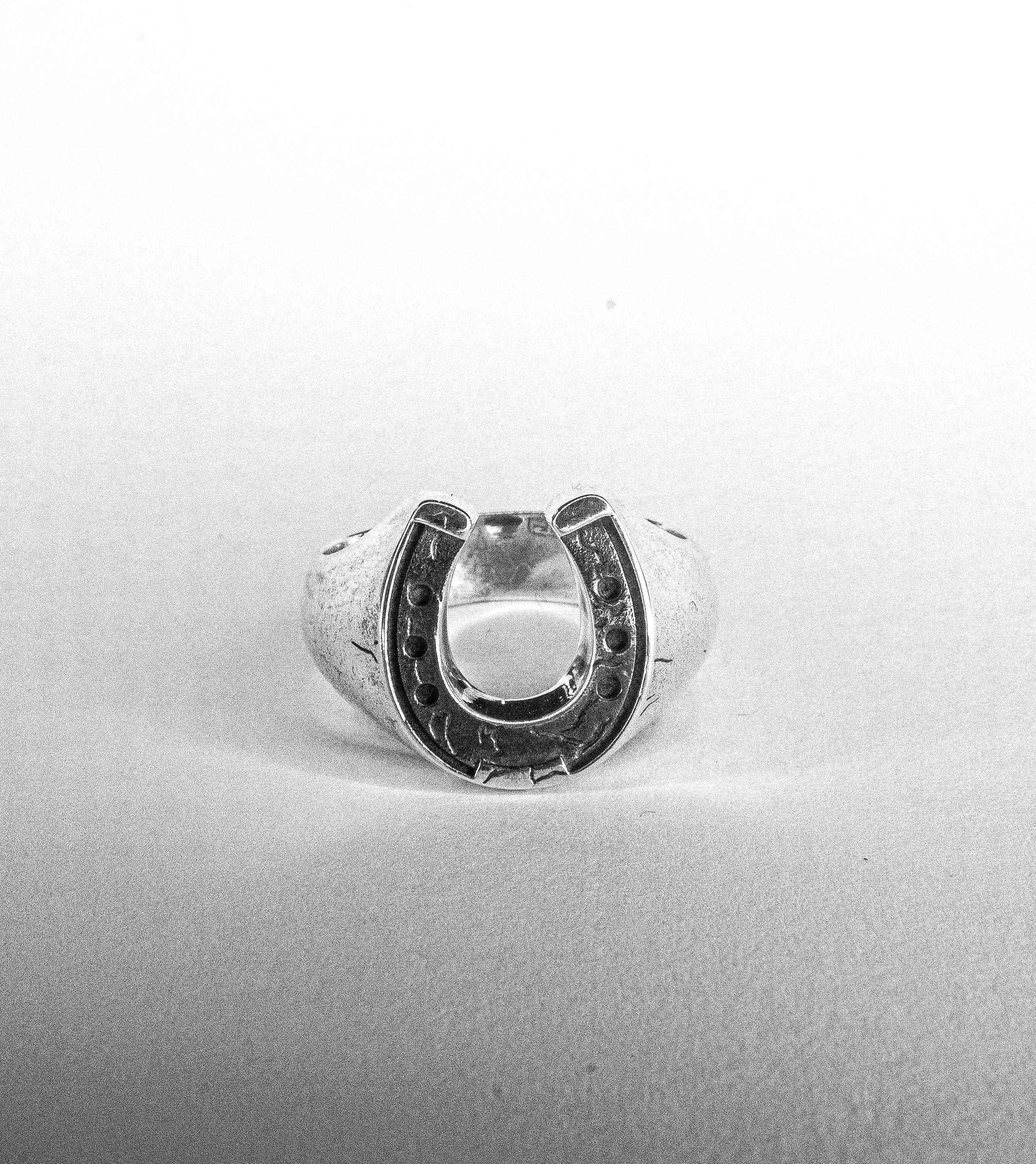 Horseshoe Sinner
