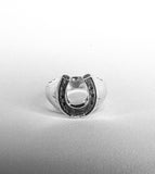 Horseshoe Sinner