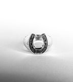Horseshoe Sinner