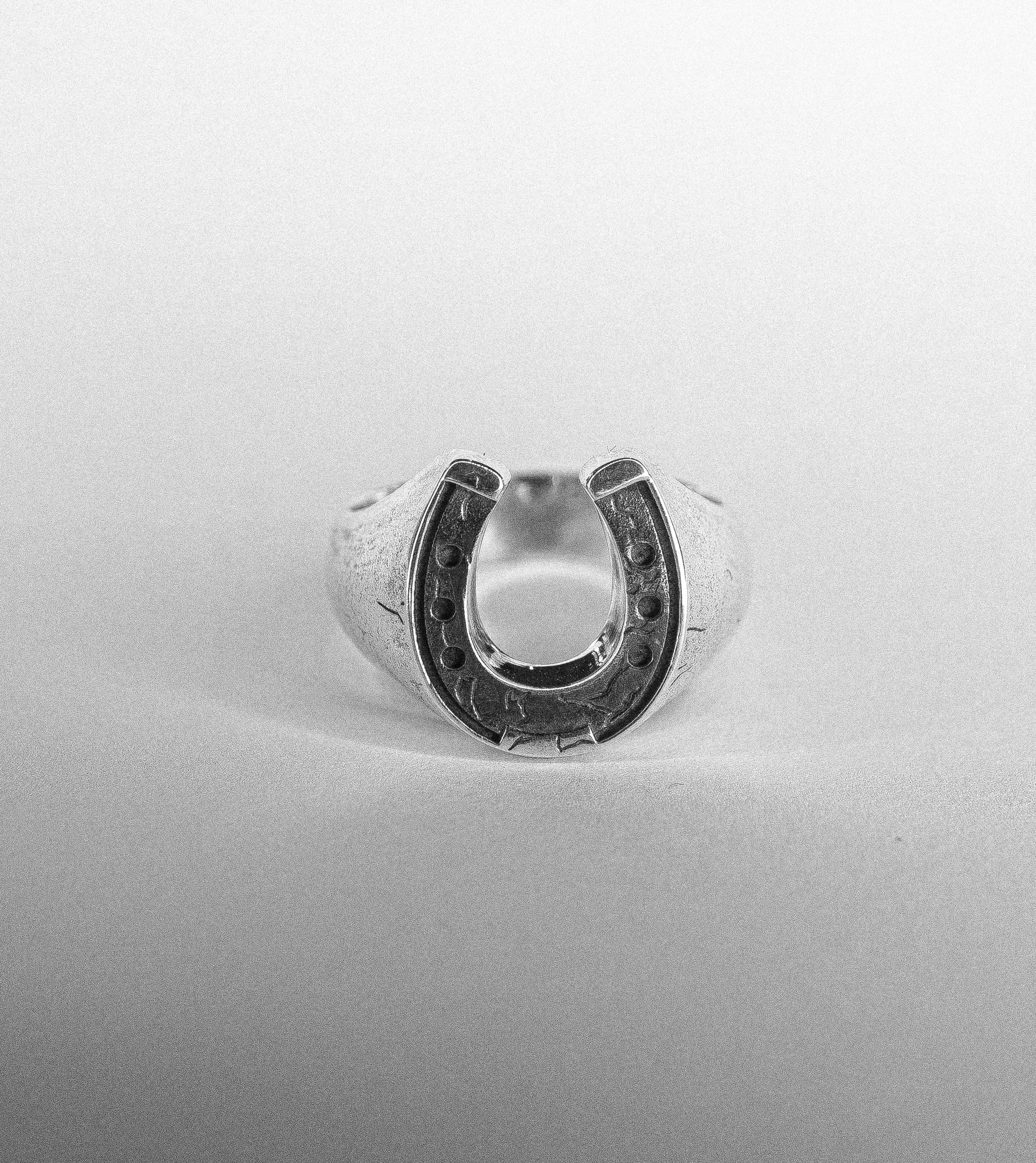 Horseshoe Sinner