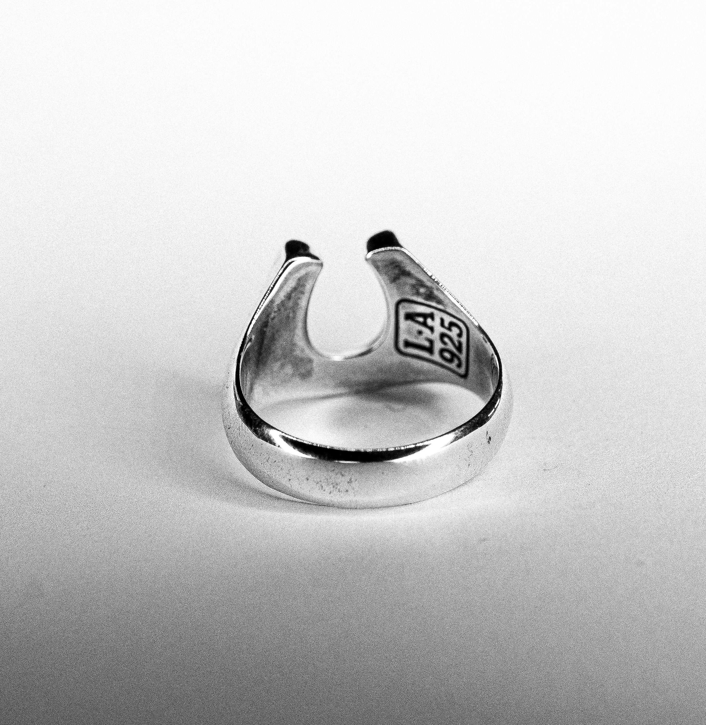 Horseshoe Sinner