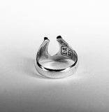 Horseshoe Sinner