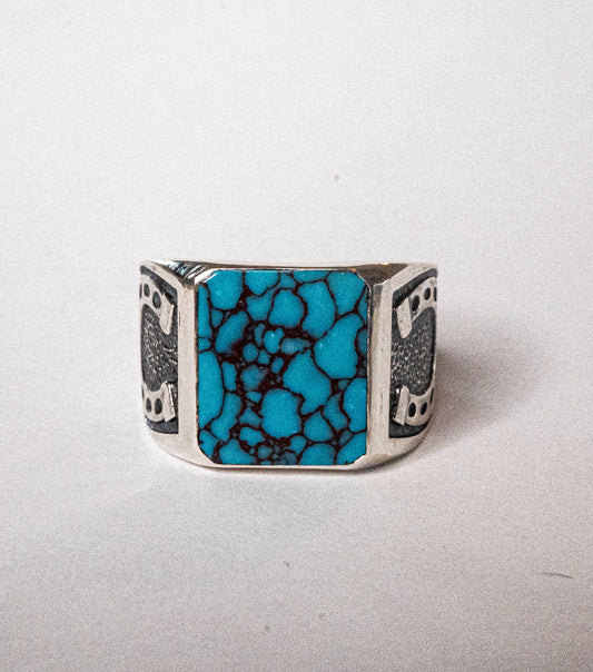 Solid Luck - Nevada Turquoise