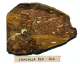 CHINCHILLA RED