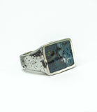 BASTION - PIETERSITE