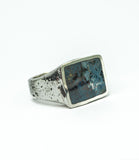 BASTION - PIETERSITE